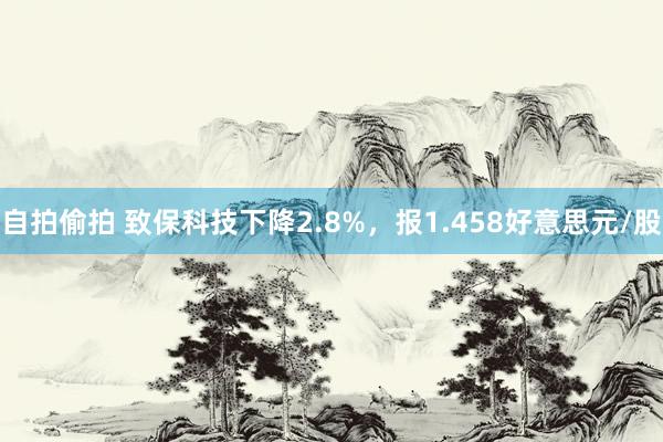 自拍偷拍 致保科技下降2.8%，报1.458好意思元/股