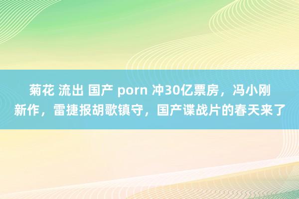 菊花 流出 国产 porn 冲30亿票房，冯小刚新作，雷捷报胡歌镇守，国产谍战片的春天来了