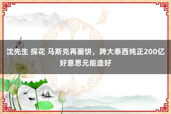 沈先生 探花 马斯克再画饼，跨大泰西纯正200亿好意思元能造好