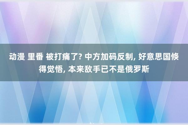 动漫 里番 被打痛了? 中方加码反制， 好意思国倏得觉悟， 本来敌手已不是俄罗斯